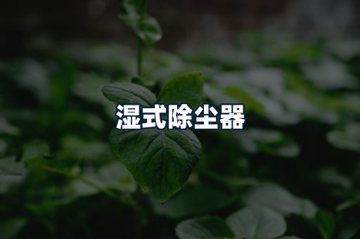 湿式除尘器